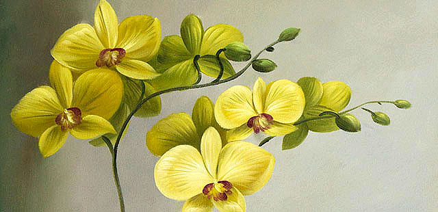 0B 《高贵兰花》 当代油画家 王露露 花卉写实油画